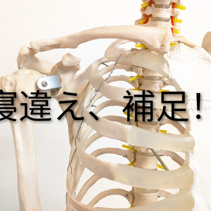ブログ画像
