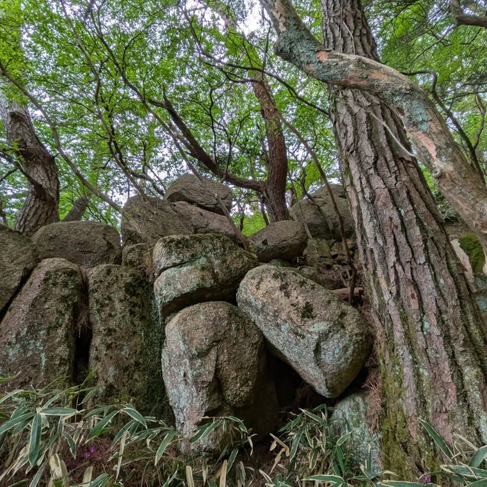 ブログ画像