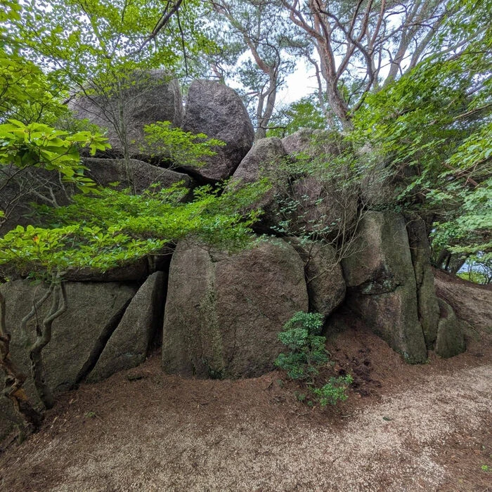 ブログ画像